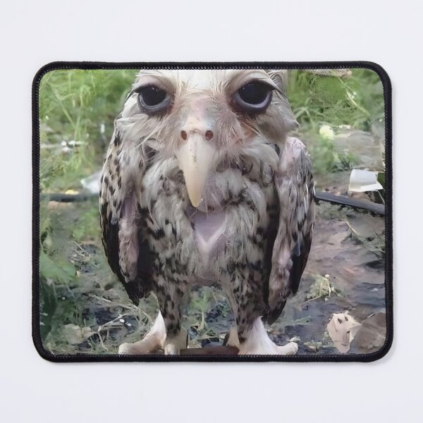 Item preview, Lamont (Wet Owl Meme) designed and sold by meadow6661.