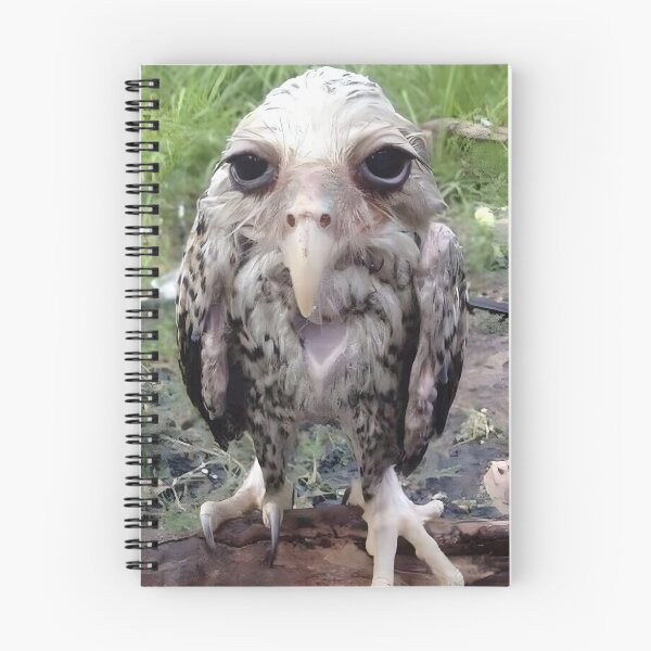 Item preview, Lamont (Wet Owl Meme) designed and sold by meadow6661.