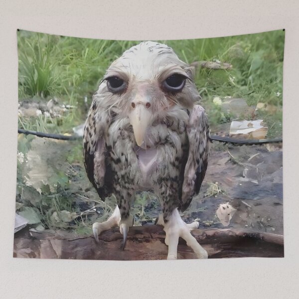 Item preview, Lamont (Wet Owl Meme) designed and sold by meadow6661.