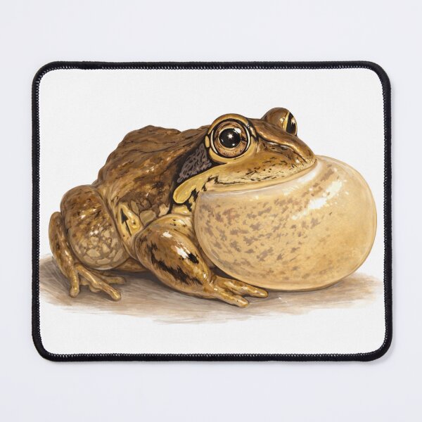 Item preview, Pobblebonk Frog (Eastern Banjo Frog) designed and sold by SarahsArtAndCrafts.