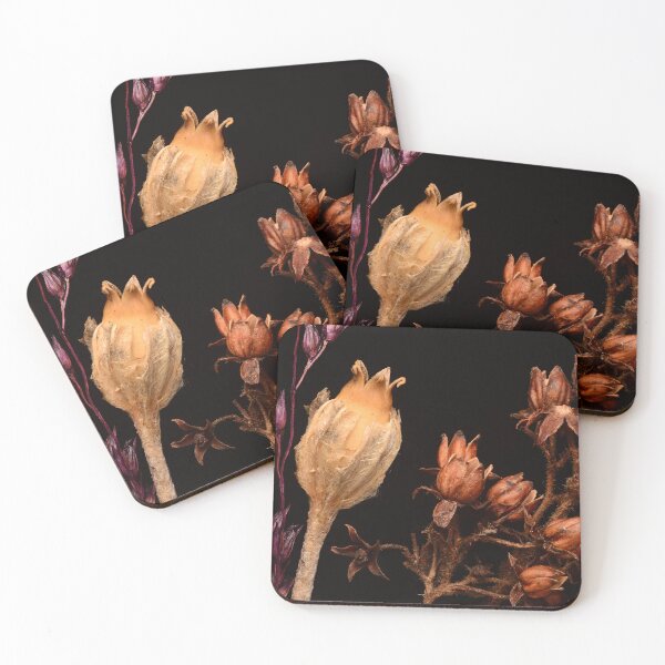 Item preview, Macro of Dried Wildflower Seed Pods and Botanical Forms on Black Background designed and sold by Goiko7Margarita.