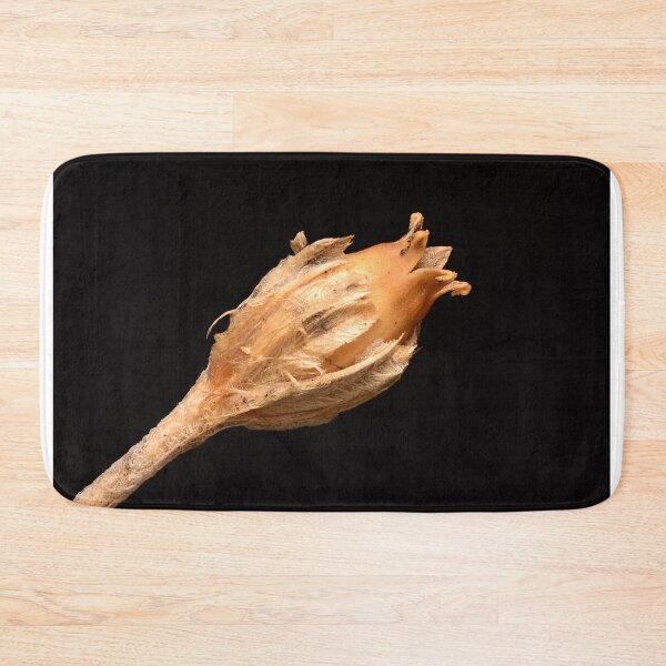 Item preview, Macro of Dried Wildflower Seed Capsule with Fibrous Texture on Black Background designed and sold by Goiko7Margarita.