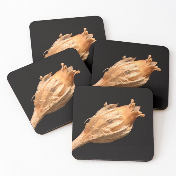Item preview, Macro of Dried Wildflower Seed Capsule with Fibrous Texture on Black Background designed and sold by Goiko7Margarita.