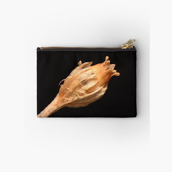 Item preview, Macro of Dried Wildflower Seed Capsule with Fibrous Texture on Black Background designed and sold by Goiko7Margarita.