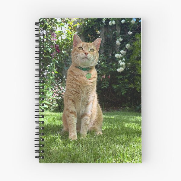 Item preview, Reddy  designed and sold by Jennifer25986.