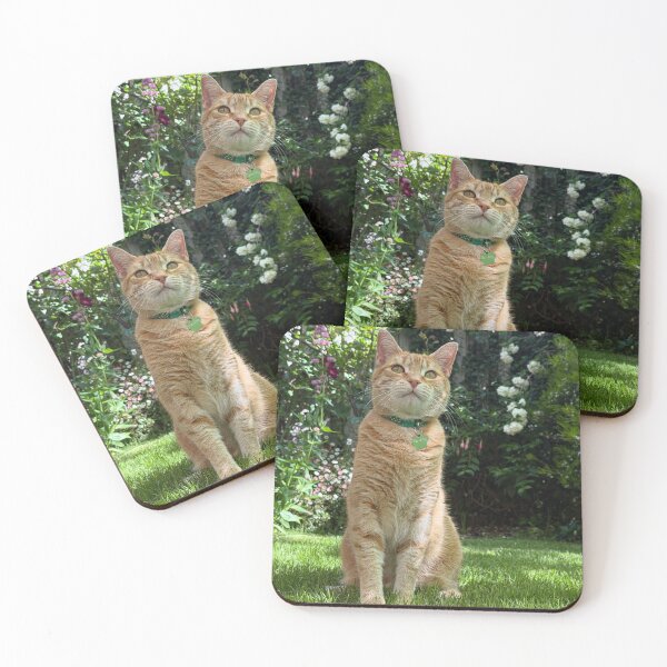 Item preview, Reddy  designed and sold by Jennifer25986.
