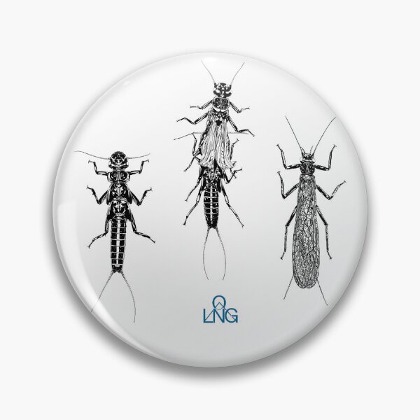 Item preview, GUXARAPA (Stonefly Metamorphosis) designed and sold by LNGO_Illustrations.