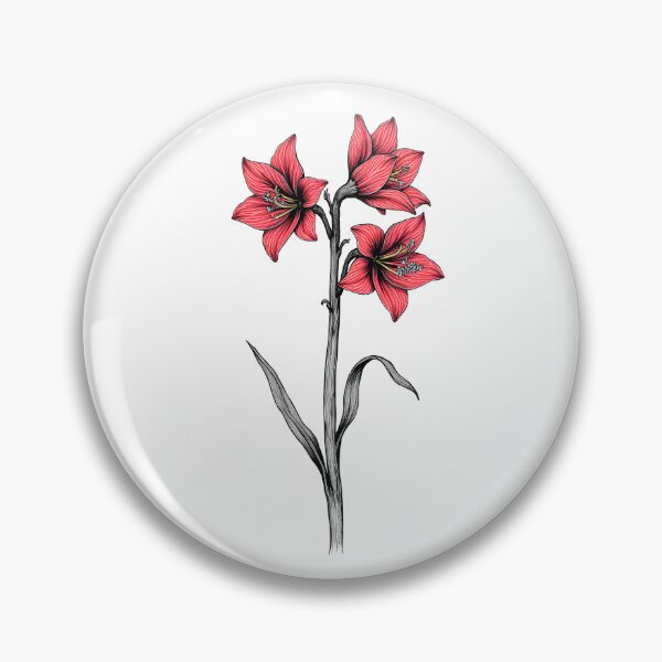 Item preview, Floral Sketch of Red Amaryllis Flowers designed and sold by Petalandfur.