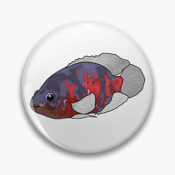 Item preview, Cute Oscar fish designed and sold by Hattie's Aquariums.