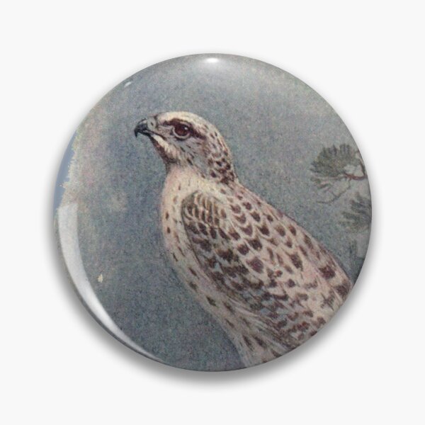 Item preview, vintage falcon designed and sold by okapia concolor.