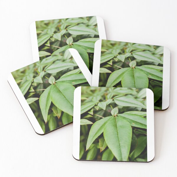 Item preview, Leaves designed and sold by clusefromcuse.