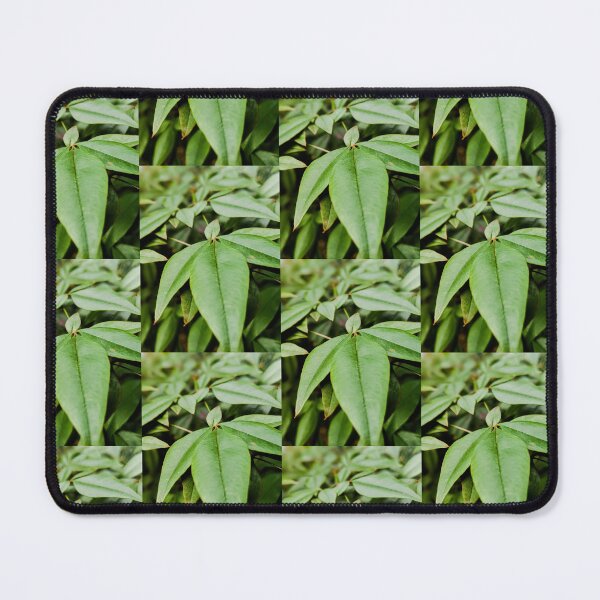 Item preview, Leaves designed and sold by clusefromcuse.