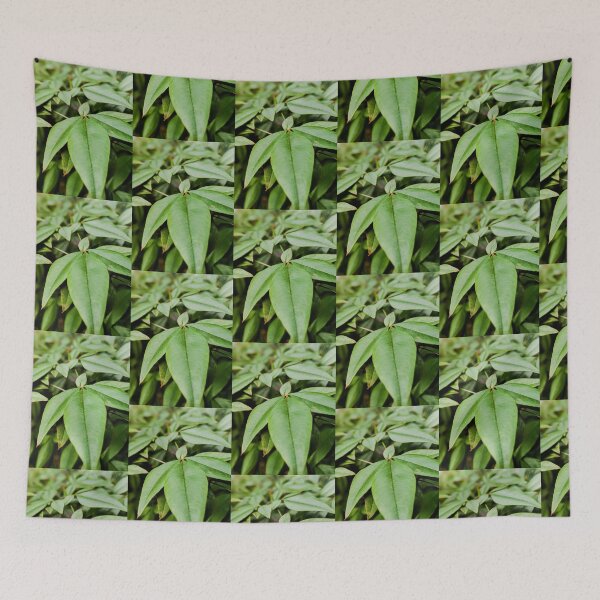 Item preview, Leaves designed and sold by clusefromcuse.