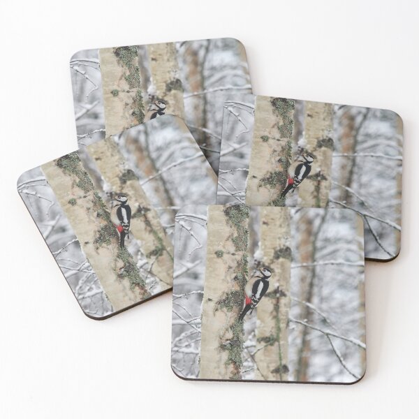 Item preview, Life in the birch forest. Great spotted woodpecker designed and sold by Jouko Lehto Photography.