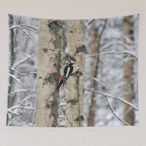 Item preview, Life in the birch forest. Great spotted woodpecker designed and sold by Jouko Lehto Photography.