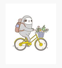 Lámina fotográfica Biking Sloth