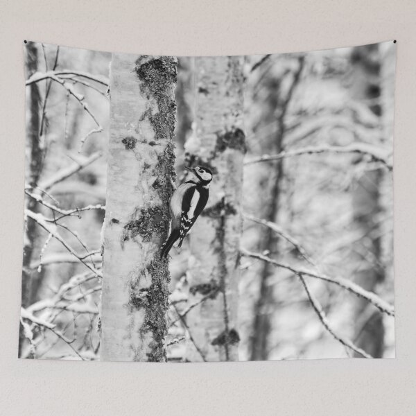 Item preview, Life in the birch forest. Great spotted woodpecker bw designed and sold by Jouko Lehto Photography.