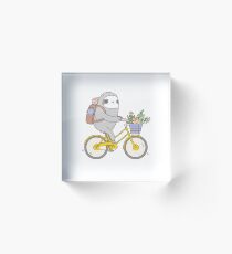 Bloque acrílico Biking Sloth