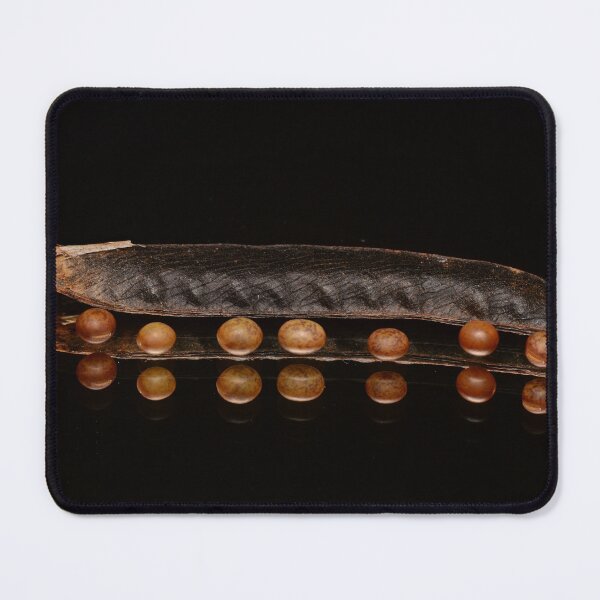 Item preview, Dried Seed Pod with Seeds and Reflection on Black Background designed and sold by Goiko7Margarita.