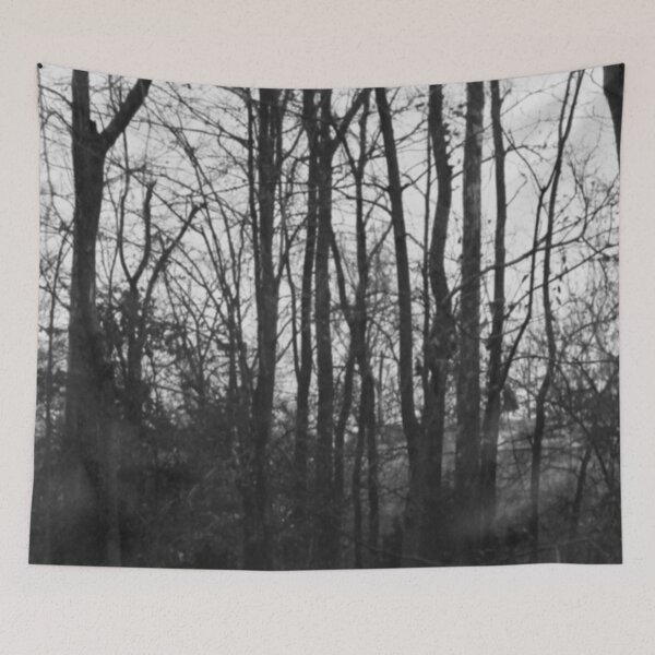 Item preview, Black Bosk III - Melancholy Forest Photograph designed and sold by Irene Estelle.