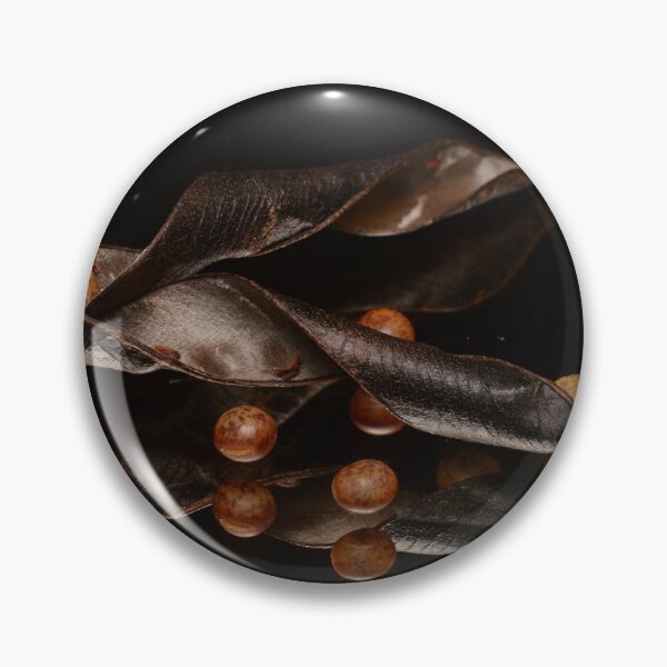 Item preview, Macro of Twisted Seed Pods with Brown Seeds and Reflection on Black Background designed and sold by Goiko7Margarita.