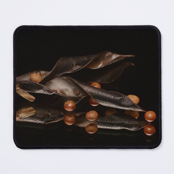 Item preview, Macro of Twisted Seed Pods with Brown Seeds and Reflection on Black Background designed and sold by Goiko7Margarita.