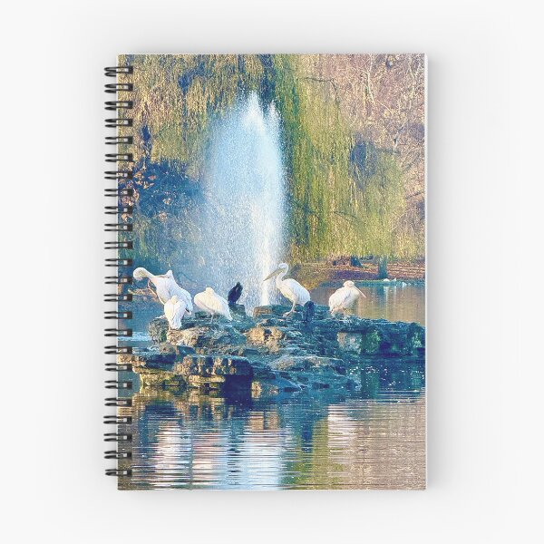Item preview, London Pelicans amidst a Winter Waterfall designed and sold by The Running London Photographer.