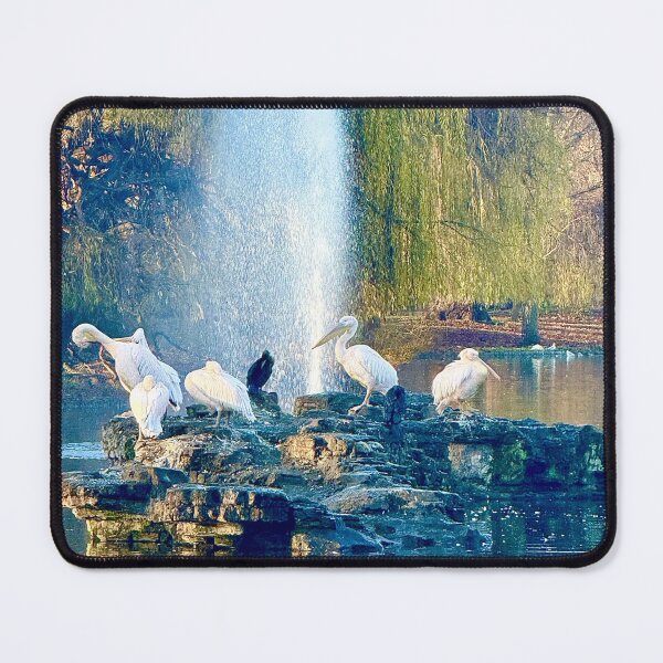 Item preview, London Pelicans amidst a Winter Waterfall designed and sold by The Running London Photographer.