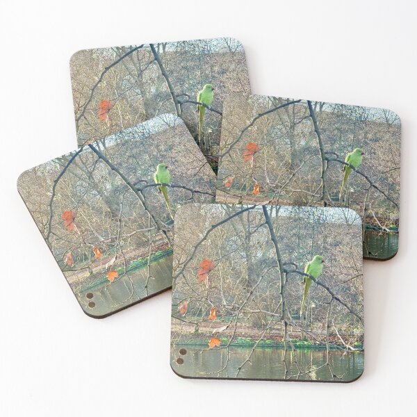 Item preview, Striking Green London Parakeet in Orange Autumn Shades designed and sold by The Running London Photographer.