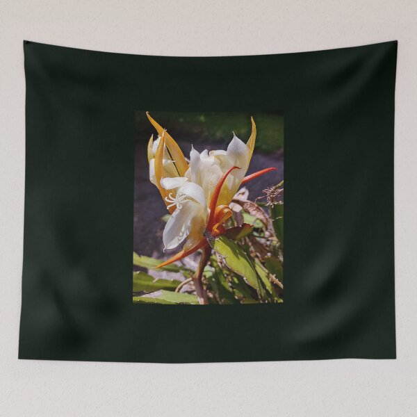Item preview, POLYNESIAN DRAGON CACTUS NIGHT BLOOM designed and sold by JoAnnHayden.