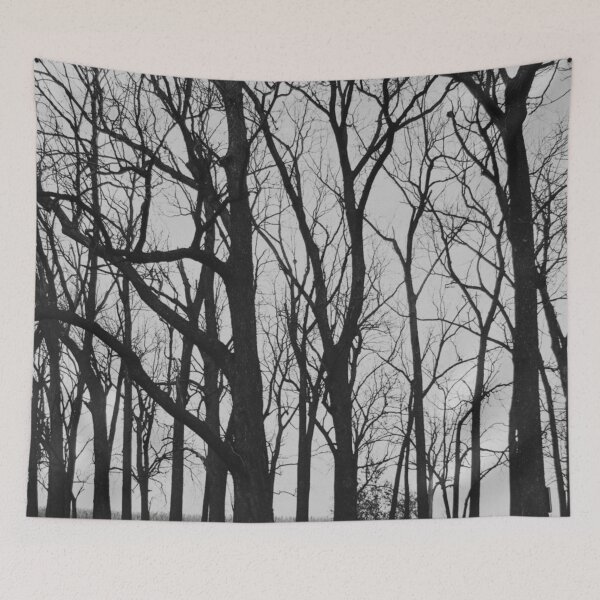 Item preview, Black Bosk V - Melancholy Forest Photograph designed and sold by Irene Estelle.