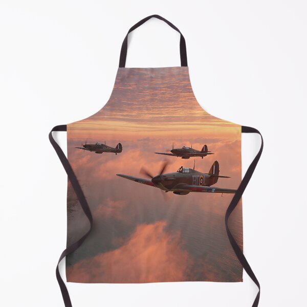 Item preview, Dover’s Dawn Defenders designed and sold by Skyframe Aviation.