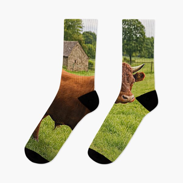 Item preview, Dexter Irish bull  designed and sold by Helios Be. Lavsh.