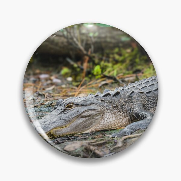 Item preview, Okefenokee  designed and sold by BooCarter.