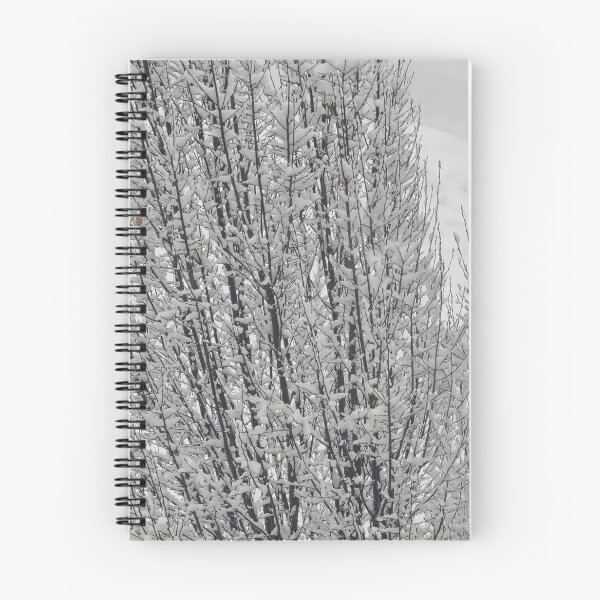 Item preview, Photography designed and sold by Bholu's  SHOP.