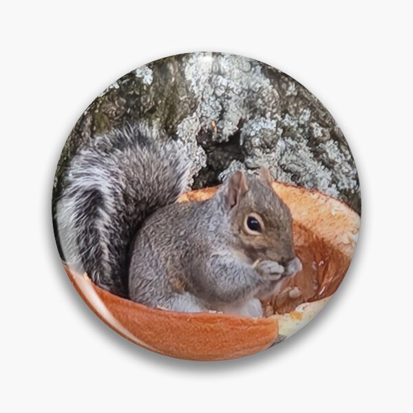 Item preview, Acorn: squirrel inside a pumpkin designed and sold by Bearsweetie2018.