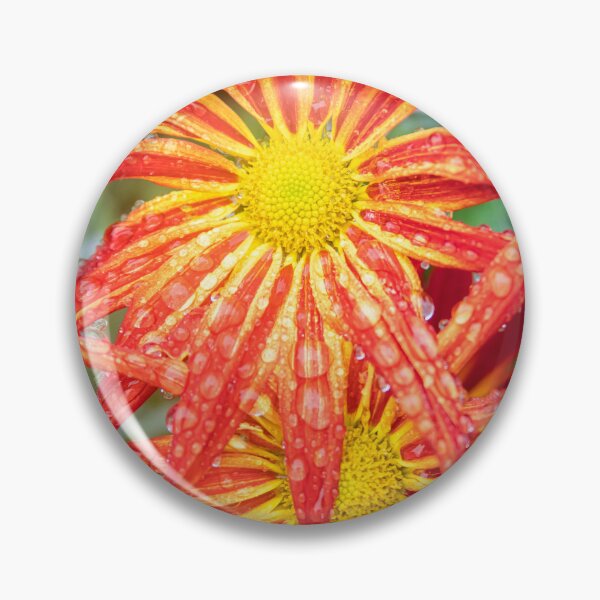 Item preview, Common Indian Blanket Flower X156 designed and sold by RichFrancoCars.