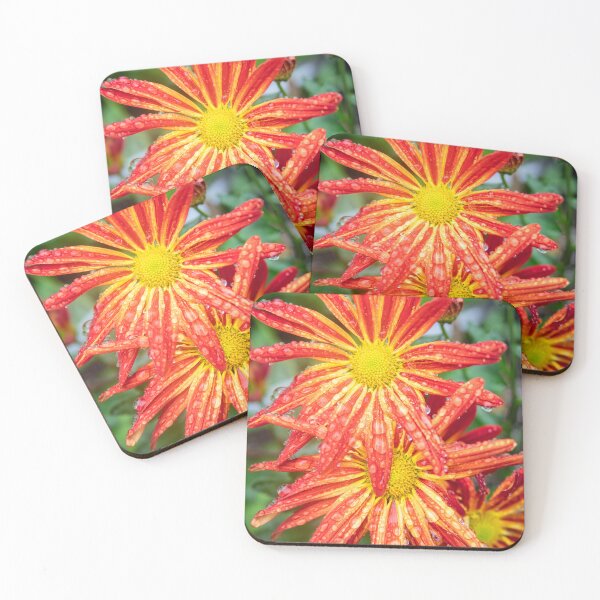 Item preview, Common Indian Blanket Flower X156 designed and sold by RichFrancoCars.