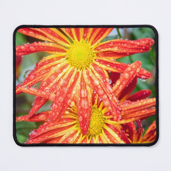 Item preview, Common Indian Blanket Flower X156 designed and sold by RichFrancoCars.