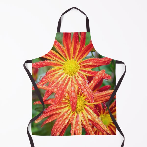 Item preview, Common Indian Blanket Flower X156 designed and sold by RichFrancoCars.
