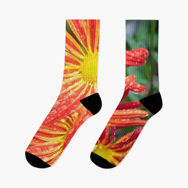 Item preview, Common Indian Blanket Flower X156 designed and sold by RichFrancoCars.