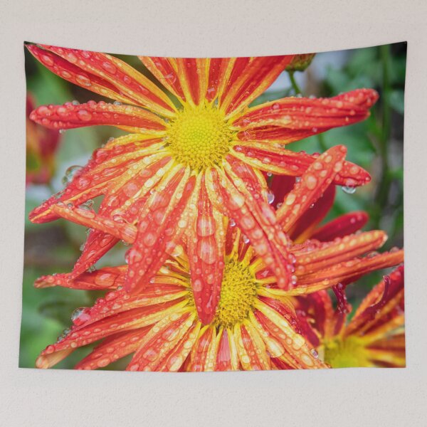 Item preview, Common Indian Blanket Flower X156 designed and sold by RichFrancoCars.