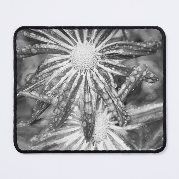 Item preview, Common Indian Blanket Flower X157 designed and sold by RichFrancoCars.