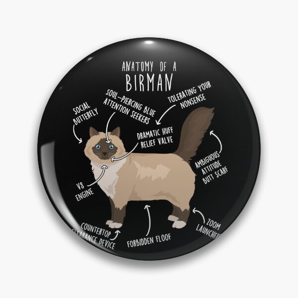 Item preview, Birman Cat Anatomy designed and sold by Clara Hollins.