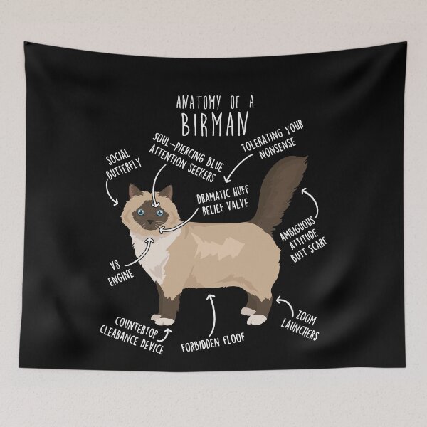 Item preview, Birman Cat Anatomy designed and sold by Clara Hollins.