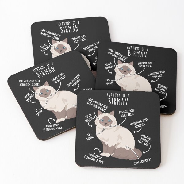 Item preview, Blue Point Birman Cat Anatomy designed and sold by Clara Hollins.