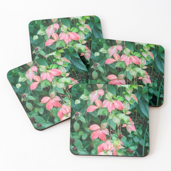 Item preview, Virginia Creeper Red Leaves Vine X100  designed and sold by RichFrancoCars.