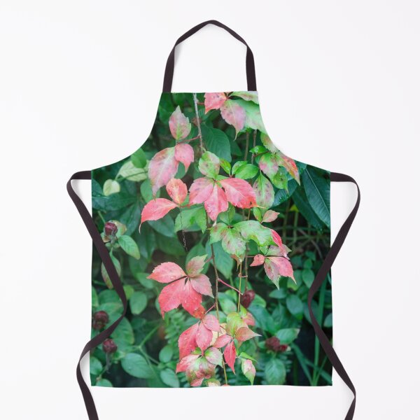 Item preview, Virginia Creeper Red Leaves Vine X100 designed and sold by RichFrancoCars.