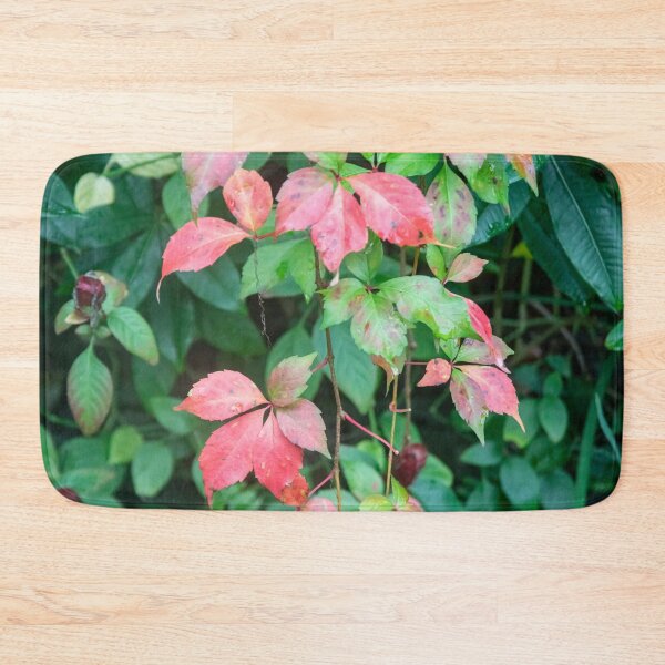 Item preview, Virginia Creeper Red Leaves Vine X100  designed and sold by RichFrancoCars.