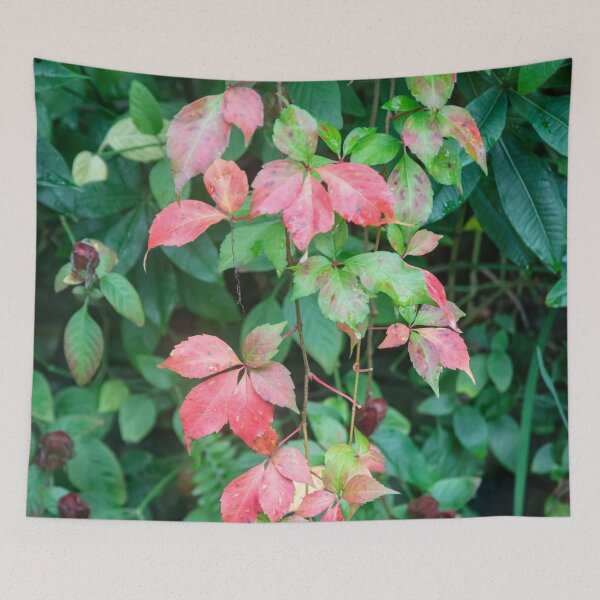 Item preview, Virginia Creeper Red Leaves Vine X100  designed and sold by RichFrancoCars.